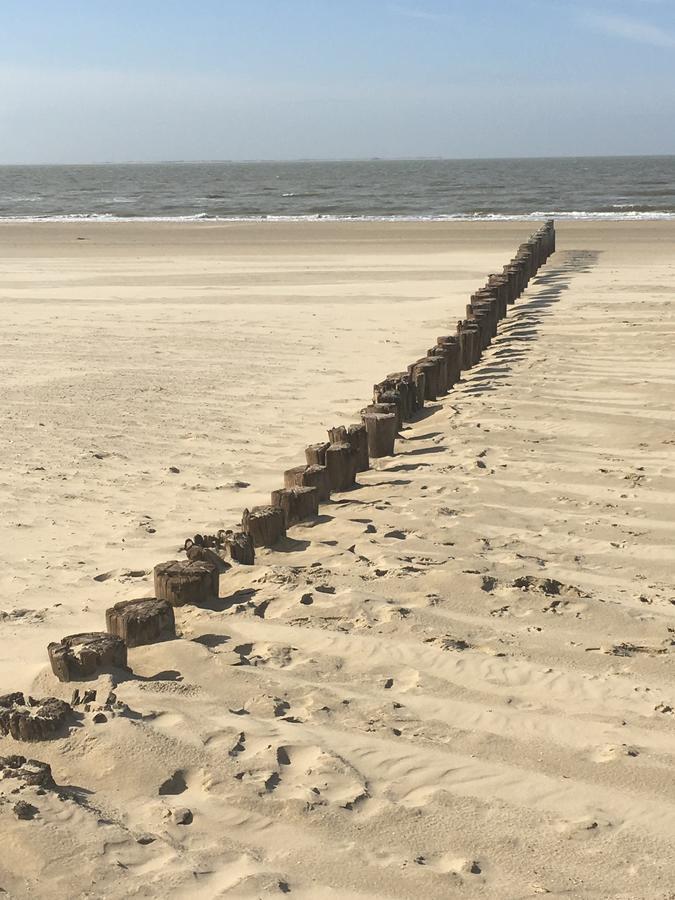 Appartement Noorderkragt, Amelander Kaap Hollum  Zewnętrze zdjęcie